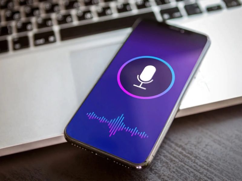 Evaluating VUI usability and user experience in the smart home context