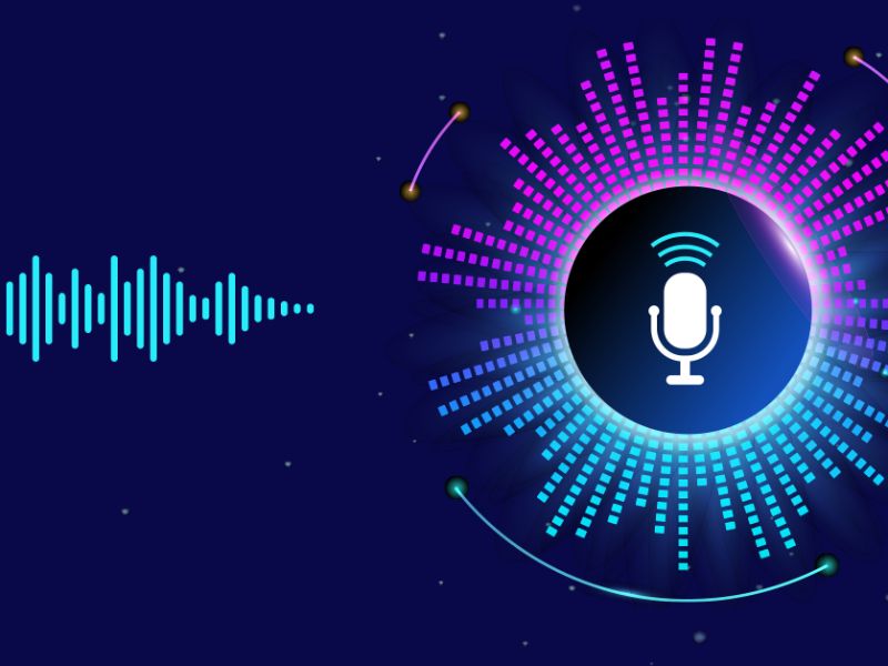 Some smart home gadgets use language to control them